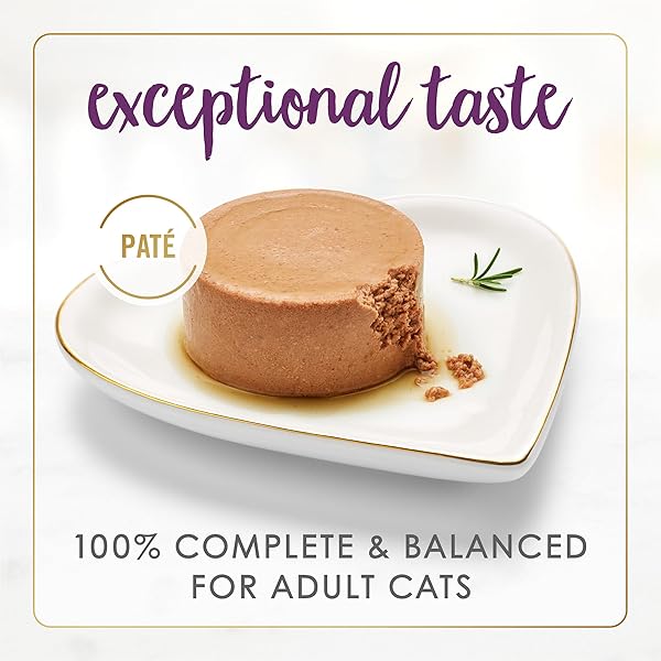 PURINA FANCY FEAST SENIOR WET CAT FOOD 7 YEARS PLUS BEEF FEAST PATE – (PACK OF 24) 3 OZ. CANS