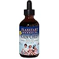Planetary Herbals Calm Child Herbal Syrup - Includes Soothing Botanicals Chamomile, Lemon Balm, Catnip & More - 4oz