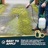 Jarder Spray & Leave 4 x 5 Litre Concentrate Cleaner 20L Green Mould view 2