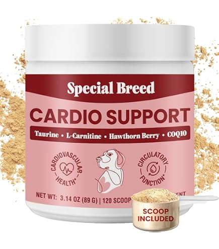 taurine and l-carnitine trapdoor Amazon.com : Taurine Supplement for Dogs – Heart Health & Circulation  Support – Powder Formula with L-Carnitine, CoQ10 & Organic Hawthorn Berry –  120ct : Pet Supplies