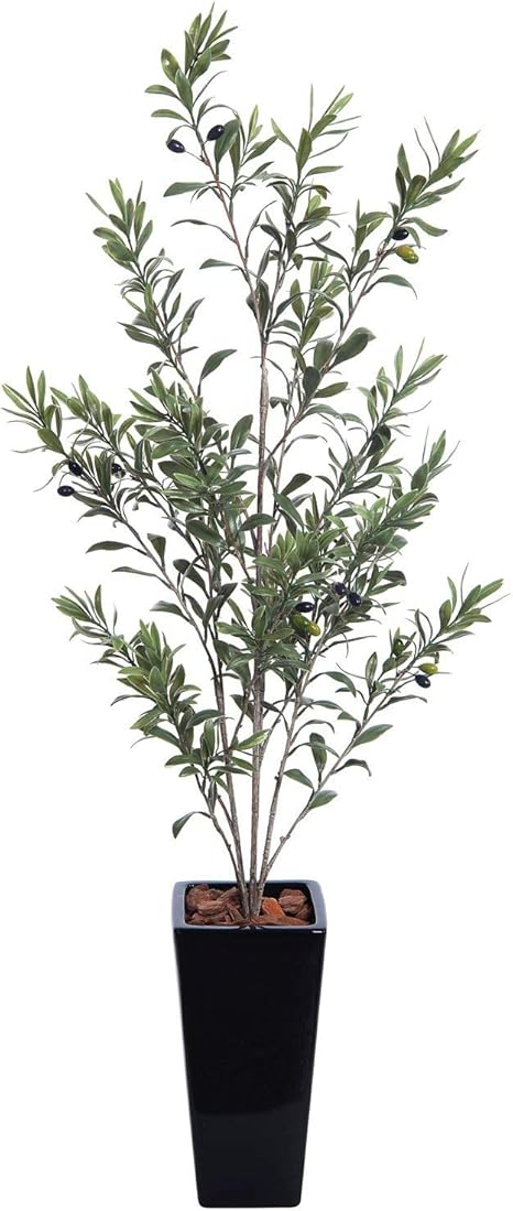 Amazon 人工観葉植物 フェイクグリーン 観葉植物 造花 光触媒 大型 イタリアンオリーブ ヴィットーリア 110cm 黒鉢 陶器製 フェイク グリーン インテリア おしゃれ Ct触媒 消臭 お祝い 人工観葉植物 オンライン通販