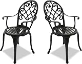 Centurion Supports Prego 2 Large Bistro Chairs Black Aluminium Armrests view 4