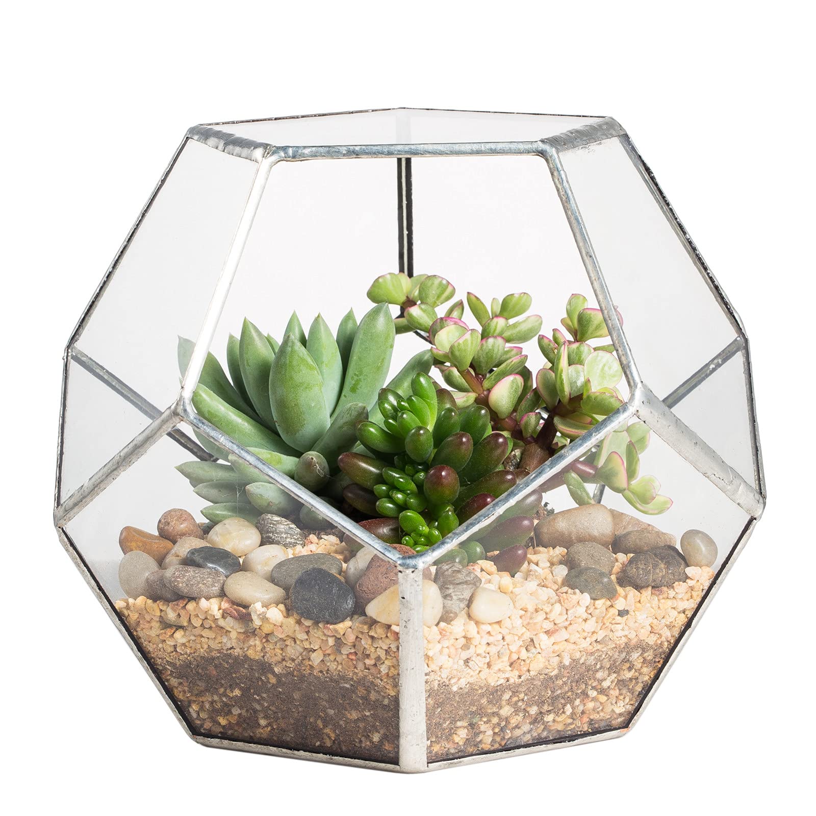 NCYP Glass Terrarium, Pentagon Shape Geometric Terrarium Planter Pot for Display Succulent, Air Plants - Indoor Garden Tabletop Balcony Decor, Silver (No Plants, No Door)