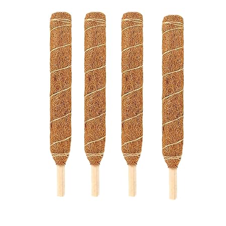 LIVEONCE Coco Pole -Moss and Coir Stick for Indoor, House and Plant Creepers Support 2 FEET -Pack of 4 -Color -Natural