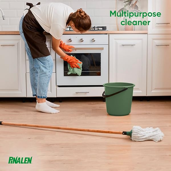 PINALEN MAX ALL PURPOSE HOUSEHOLD CLEANING FLORAL SCENT + BONUS PACK – (33.8 OZ) (2024)