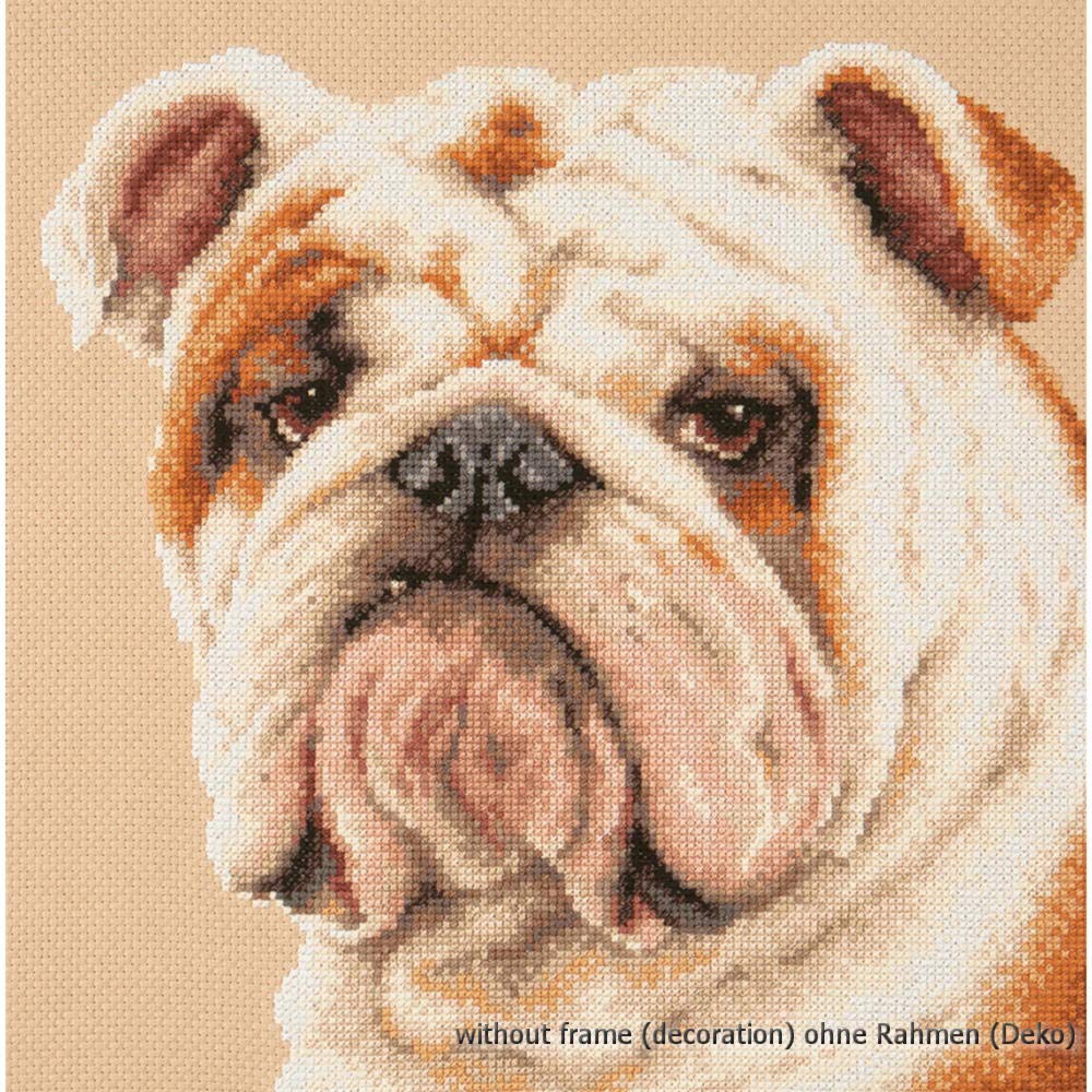 Magic Needle Counted Cross Stitch Kit, Cotton, Multicoloured, 25 x 25 cm