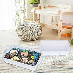 Plastic Activity Tray with lid for
