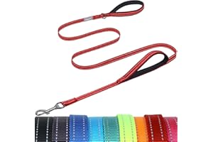 VIVAGLORY Twingrip Dog Leash, Double Handle Dog Leash for Training & Walking with Traffic Handle & 2 Loop, Traffic Control Re