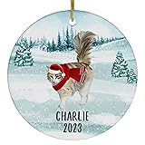 Santa Hat and Scarf Welcome Winter Tricolor