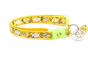 PUGS TO PERSIANS Wicca Cat Collar with Occult Charm & Bell | Witch’s Familiar Cat Collar | Witch Kitten Collar Charms | Glow in The Dark | Safety Breakaway Collar (Large(10lbs & Up), Topaz)