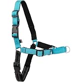 Petsafe Deluxe Easy Walk Harness, Small, Ocean Blue, Model:EWH-D-HC-S-OCN | Padded Neoprene Straps, Reflective Strips for Night Safety, Martingale Loop Curbs Pulling from the Chest, Not the Throat