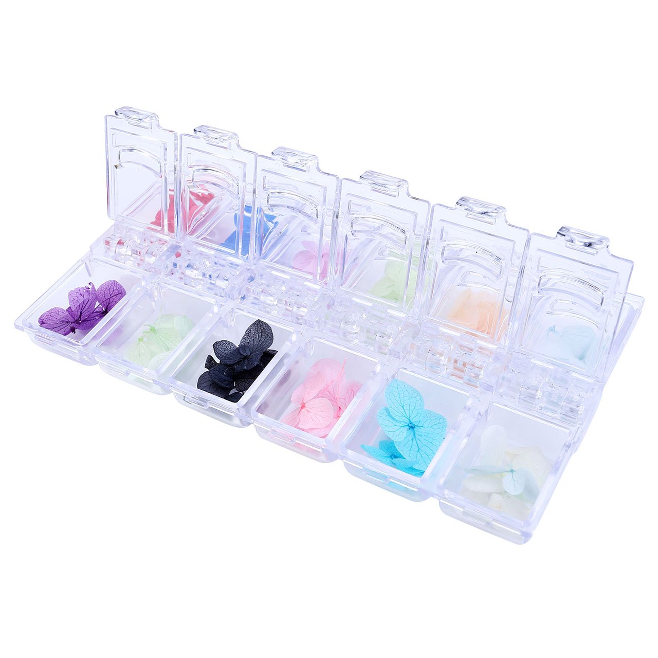 CCbeauty 2-Packs 12Colors Natural Real Dry Flower Sticker Decals Nail Art Decorations Kit 3D