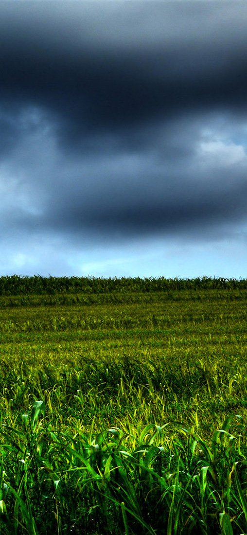 PeelitStickit ID-1850 60 Width x 130 cm Height Beautiful Nature Vinyl Wall Mural