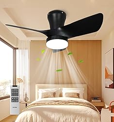 OPONL Black Ceiling Fan with Light 30inch, Large