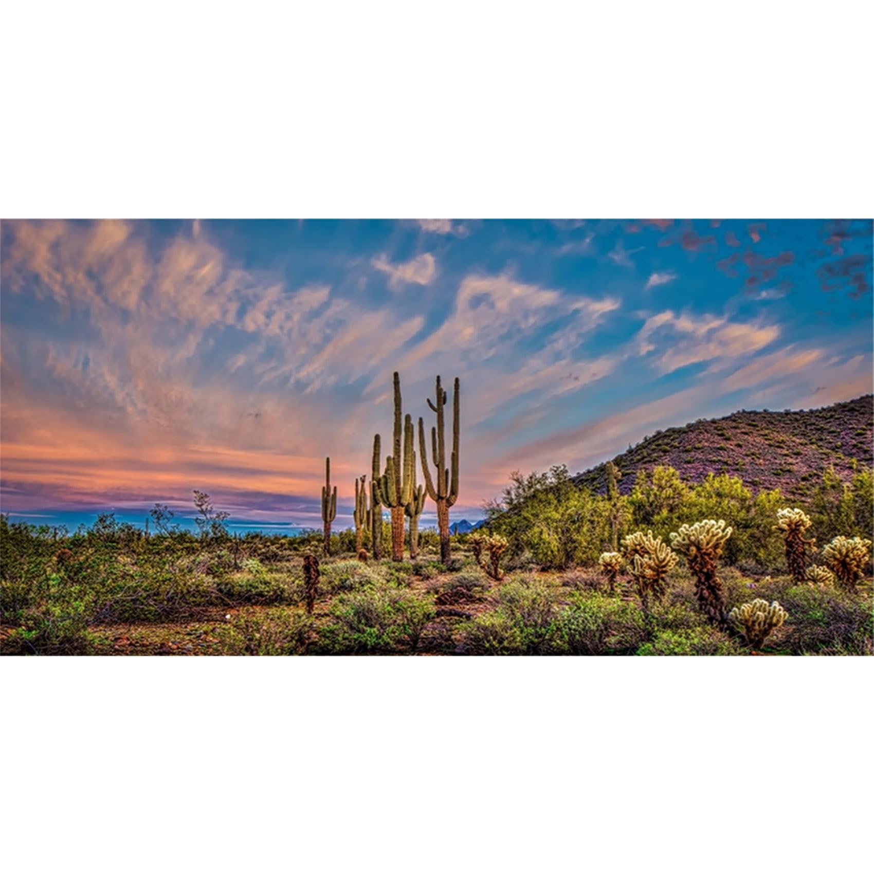 MIRRORANG 120x61cm Terrarium Background Tropical Blue Sky Cloud Huge Cactus Oasis Gobi Reptile Habitat Background Durable Vinyl Background