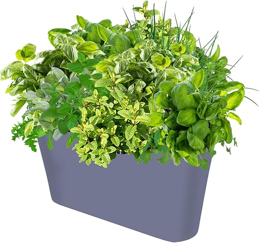 savvygrow Ergo Planter – Maceta decorativa de recipiente amplio ...
