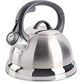 Mr. Coffee Flintshire Stainless Steel Whistling Tea Kettle, 1.75-Quart, Brushed Satin