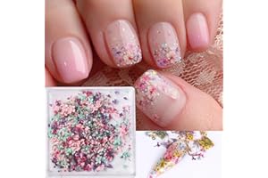 POWPOP 3D Dried Flowers for Nails, Spring Flower Nail Art Stickers 1Box Dried Flowers for Resin Crafts Colorful Small Natural Floral Dried Flower Decals for Summer Acrylic Nails Design Manicure Accessories