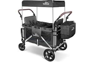 Stroller Wagon for 2 Kids, Baby Wagon Stroller with Adjustable Handle for Infants and Toddlers Includes Canopy & Organizer, F