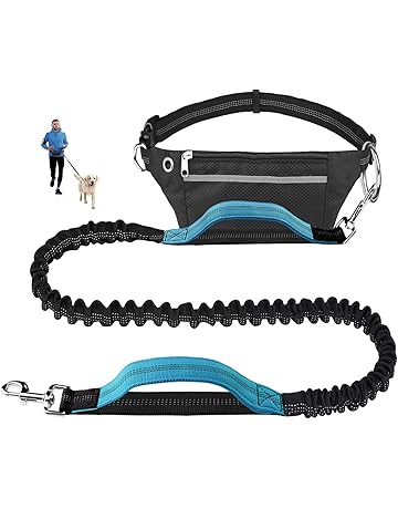 dog leads amazon