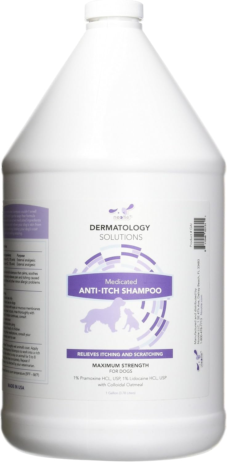 cheapest coatex medicated shampoo