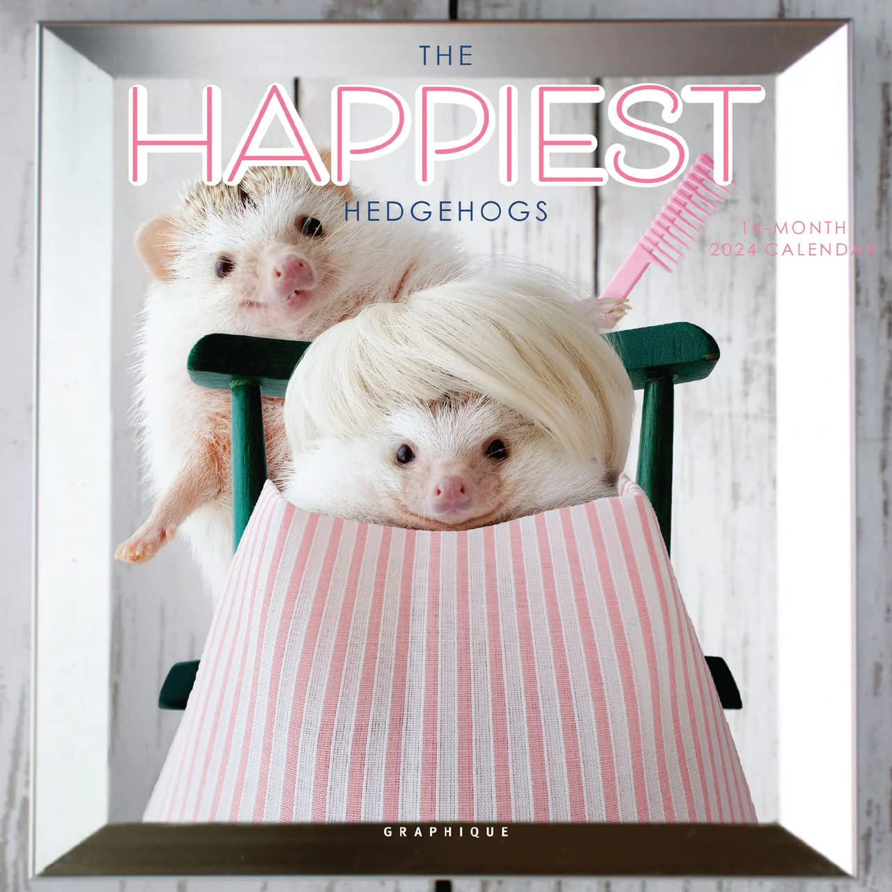 Graphique 2024 Happiest Hedgehogs Mini Wall Calendar | 7” x 7” | Thick Paper | Home & Office Organizer | Large Monthly Grid | 3 Languages & Marked Holidays | 4 Month Preview Page for 2025