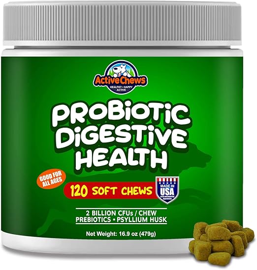 dogs bad breath from stomach