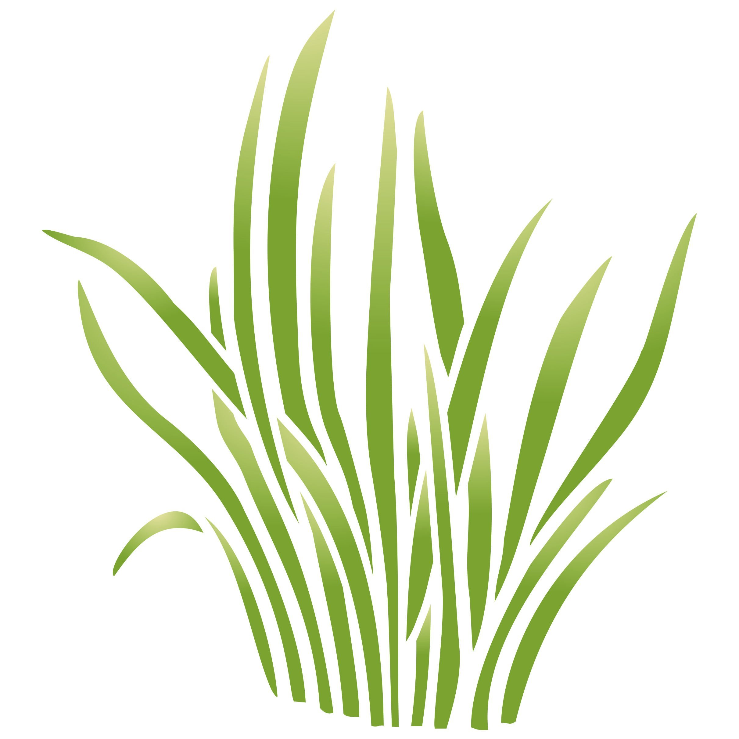 Grass Stencil - 25.5 x 29cm (L) - Reusable Large Sedge Reeds Baby Childs Nursery Wall Stencil Template