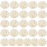 Auihiay 26 Pieces Hydrangea Artificial Flowers Silk Hydrangea Flowers Artificial Flowers Heads with Stems for Home Wedding Party Decorations (Champagne)