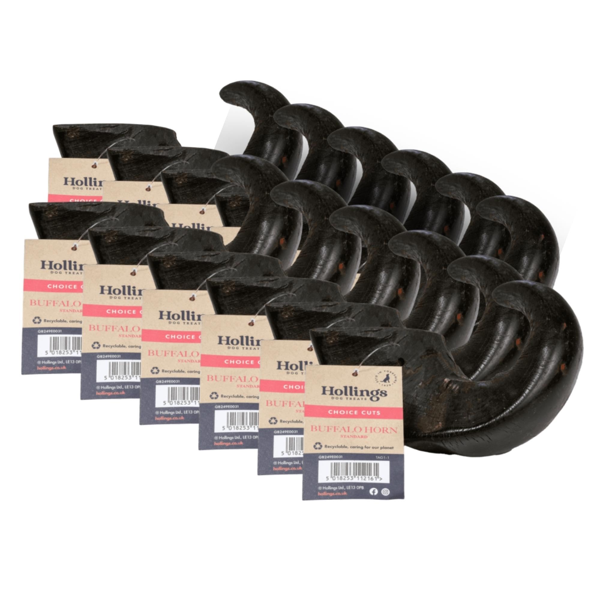 Hollings Buffalo Horn Standard Dog Treat, 100% Natural Grain Free Chew Treat for Adult Dogs, High in Protein and Naturally Low in Fat (12 Pack)