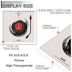 Fxojyvo Vinyl Record Frame for the Wall Display