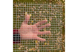 Metal Mesh Screen 1/2 Inch 20 Gauge – Wire Mesh Sheet Screen for Vent Covers, Rodent Mesh, DIY Projects, Galvanized Steel Mes