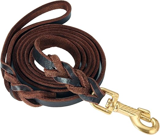 amazon leather leash