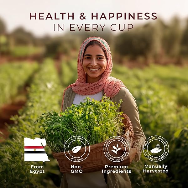 GYA TEA CO FENUGREEK HERBAL TEA POD (16 CT) – DECAF LACTATION WELLNESS GIFTS FOR MOMS FOR HAIR CARE & BREASTFEEDING