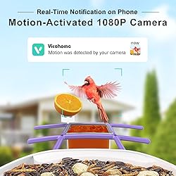 birdsnap® TUC- Smart Bird Feeder with Camera+Solar