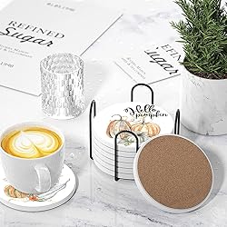 Fall Drink Absorbent Coasters with Holder Set of