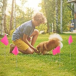 Zozen 50Pack Fluorescent Pink Marking