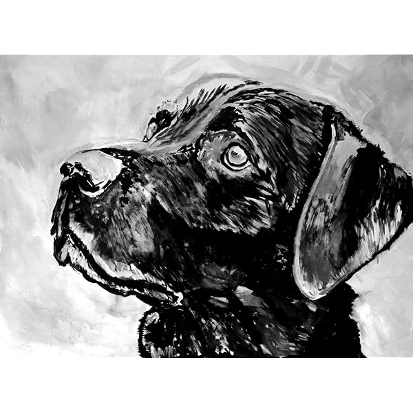 Wholesale Price Lazy Lab Expressive Black Labrador Retriever Charcoal