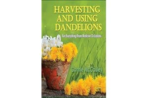 Harvesting And Using Dandelions: For Everything From Medicine To Lotions
