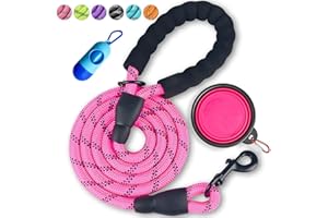 DOYOO Dog Leash 2FT/5FT/6 FT Thick Durable Nylon Dog Rope - Comfortable Padded Handle Reflective Rope Dog Leash for Medium Large Dogs with Collapsible Pet Bowl and Garbage bags (Pink 1/2" x 6 FT)