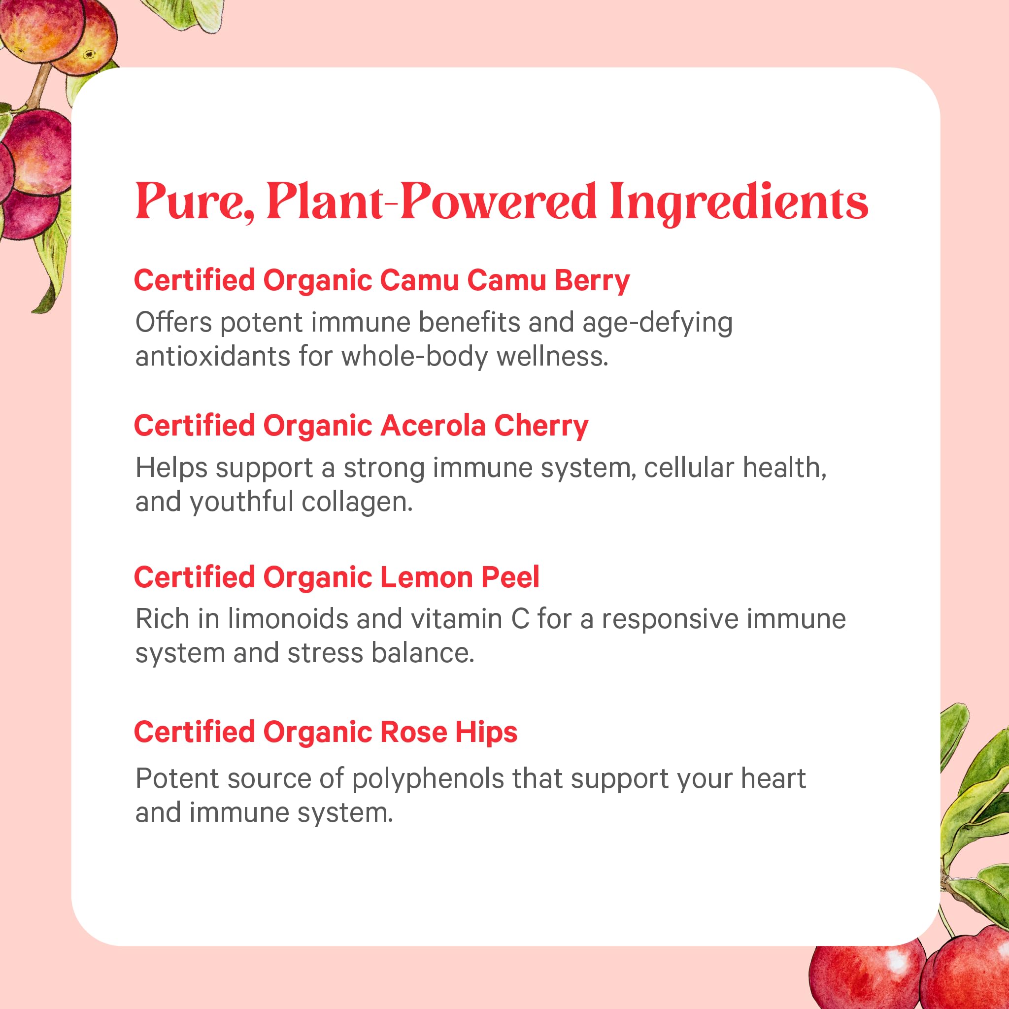 PURE SYNERGY Pure Radiance C – Organic Vitamin C Capsules | 100% Whole Food Supplement, Non-GMO, Camu Camu Extract with Natural Immune & Collagen Support – 90 Capsules