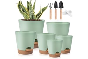 KIYTARBOO Plant Pots 8/7/6.5/6/5.5/5 Inch Set of 6, Self Watering Pots for Indoor Plants, Self Watering Planters With Drainage Hole and Saucers, Flower Pots Indoor Outdoor, Planting Pot for All House Plants