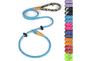 lynxking Slip Lead Dog Leash Reflective, Heavy Duty Comfortable Strong Rope Leash for Large Medium Small Dogs No Pull Training (Light Blue, Large 1/2in x 6ft-Slip Lead)