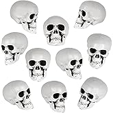 KINYFY 10 Pcs Halloween Skeleton Heads, Mini Plastic Skull Heads, Human Head Bone Model for Bar, Haunted House Props, Halloween Party Decoration