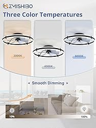 ZMISHIBO 24 Inch Ceiling Fans with Lights and