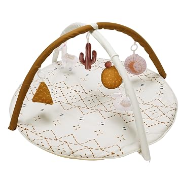 Baby Gym
