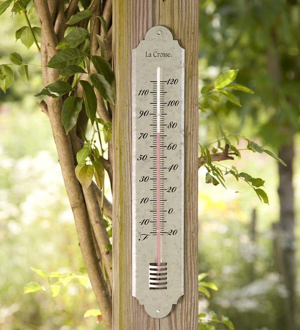 Best Mercury Free Indoor/Outdoor Home/Garden Wall Thermometer.