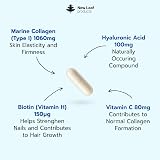 New Leaf Products Pure Marine Collagen Type I 60 Capsules Hyaluronic Acid view 2