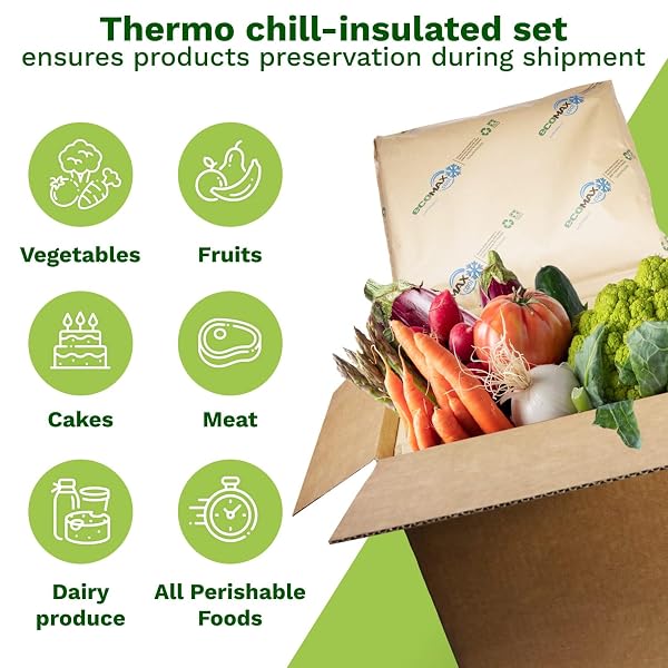 IDL PACKAGING 10″ X 10″ X 10″ INSULATED SHIPPING BOX, 1.5-GALLON CAPACITY, PACK OF 1 – INCLUDES ECOMAX™ THERMAL-PAPER LINERS, ABSORB CONDENSATION – FOR FROZEN FOOD, MEAT, OR FISH