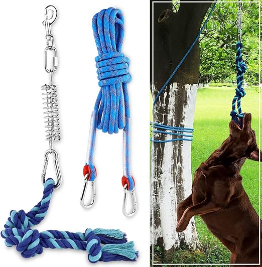 Amazon Com Souls For Paws Chasing Stick K9 Flirt Pole Dog Training Toy Telescoping Flexible Chase And Agility Trainer Heavy Duty Interactive Play Small Medium Large Breeds Pet Supplies